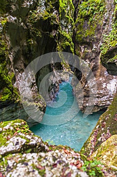 Tolmin gorge, nature, Slovenia