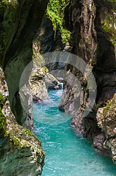 Tolmin gorge, nature, Slovenia