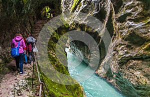 Tolmin gorge, nature, Slovenia