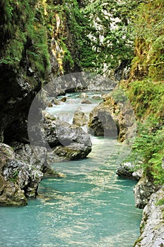 Tolmin gorge