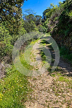 Hiking trail to waterfalls over river Caballos, Sierra de la Nieves National Park in Tolox, Malaga photo