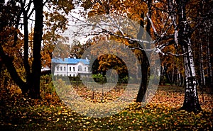 Tolstoy Estate, Yasnaya Polyana, Autumn Scene