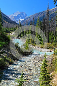 Kootenay National Park, British Columbia, Windemere Road and Vermilion River at Marble Canyon, Canadian Rocky Mountains, Canada