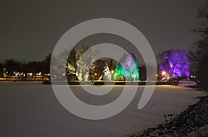 Tom Patterson Island Christmas Light Display