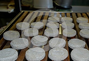 Toma Langhe cheese photo