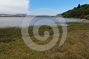 Tomales Bay, fog lifting