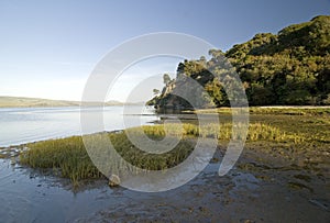 Tomales bay at sunset