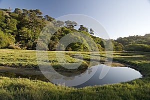 Tomales bay wetlands