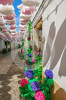 Calles flor decoraciones embalses 