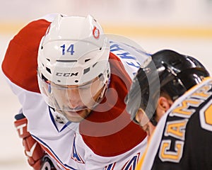 Tomas Plekanec