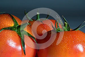 Tomate_9730.