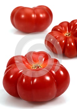 TOMATE  CAMONE