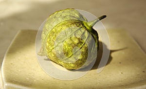 Tomatillo