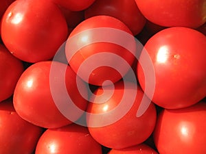 Tomato