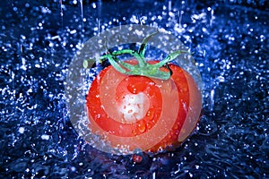 Tomato