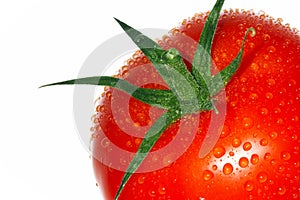 Tomato