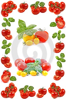 Tomato