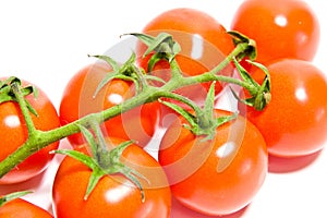 Tomato