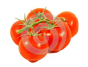 Tomato