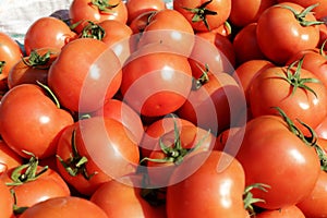 Tomato