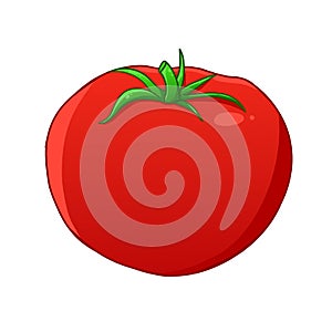 Tomato