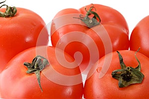 Tomato