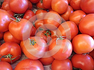 Tomato