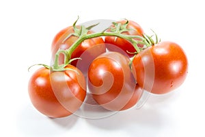 Tomato