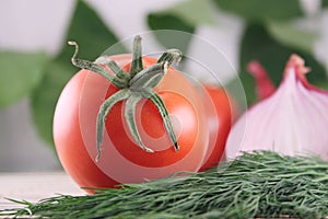 Tomato against red salad onions