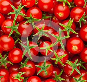 Tomato background