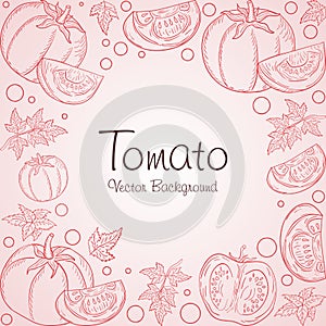 Tomato background, with sketchy linear vector design