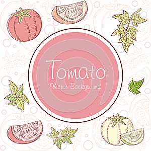 Tomato background, with sketchy linear vector design