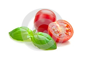 TOMATO & BASIL