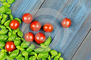 Tomato basil