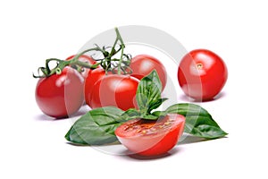 Tomato & Basil