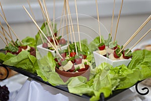 tomato basil and capresse cheese skewer photo