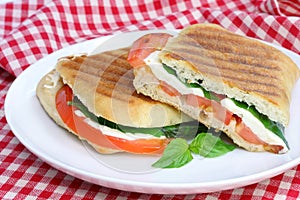 Tomato, Basil and Mozzarella Panini