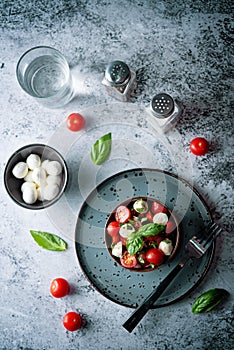 Tomato Basil mozzarella salad in a bowl