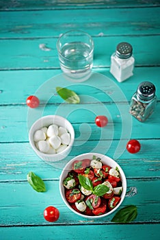 Tomato Basil mozzarella salad in a bowl