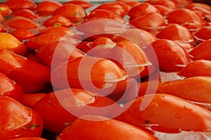 Tomato Bath