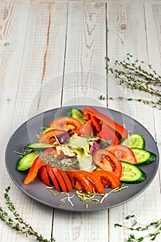 Tomato, bell pepper, cucumber slices, lettuce and thyme on gray plate, served on white wooden background in rustic style with copy