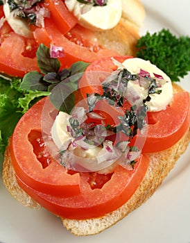 Tomato And Bocconcini Bites