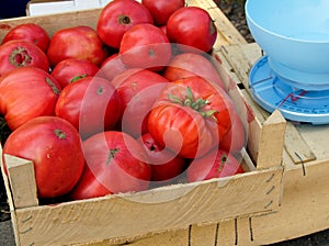 Tomato box and spring scales