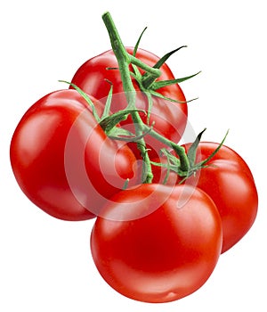 Tomato. Branch isolated on white. With clipping path