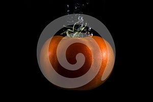 Tomato with bubbles. Water and black background