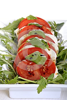 Tomato and cheese antipasto photo