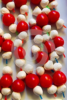 Tomato and cheese apetizer