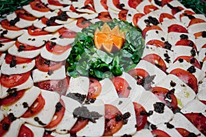 Tomato and cheese apetizer