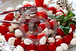 Tomato and cheese apetizer