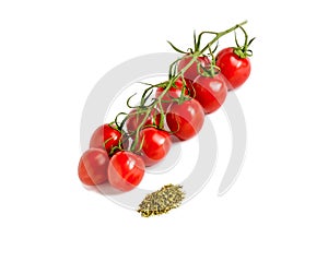 Tomato cherry on green branch with scoop of flavor spices